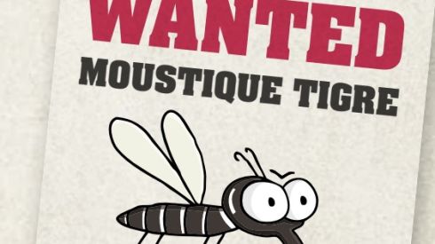 Lutte contre la prolifération du moustique tigre, la commune agit !